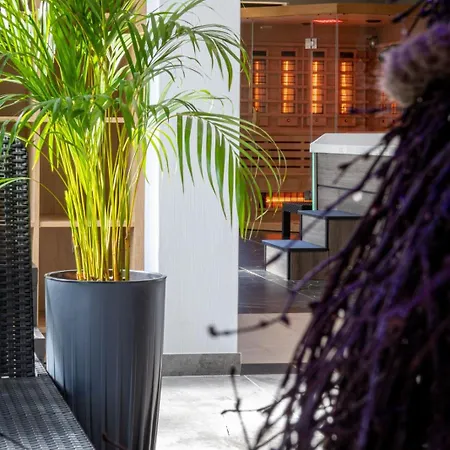 Daj Sobie Spokoj Belle View